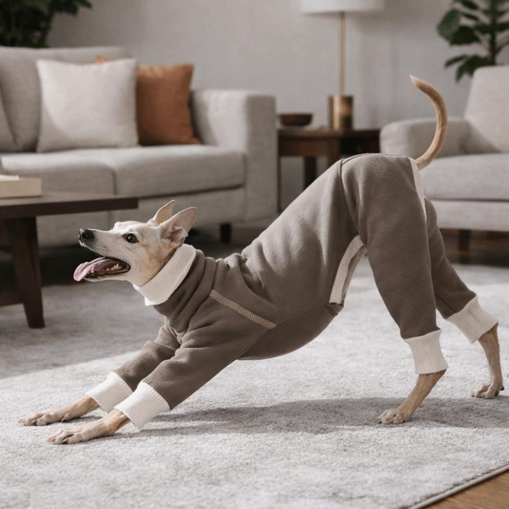 Casual Style High Neck Dog Jumpsuit Stretchy Breathable Pet Turtleneck Cold-Proof Plush Pet Warm Sportswear Daily Walk