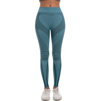 Spor giyim – Spor taytları