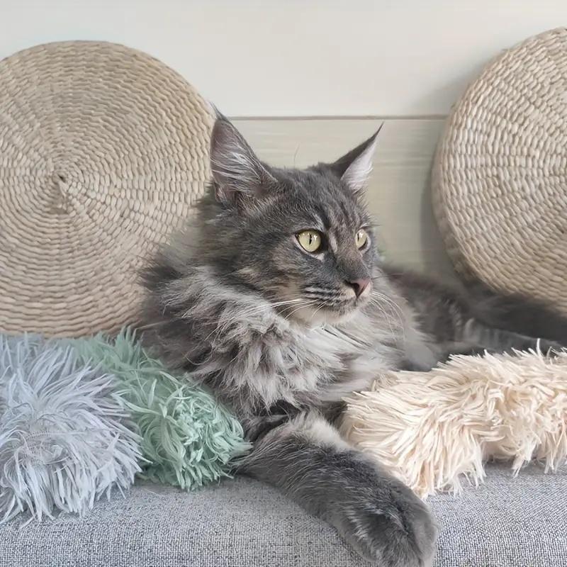 Interactive Cat Toy Plush Pillow and Sounding Paper - Perfect for Teasing and Chewing Fun.