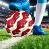 Austria Football Printed Size 5 Soccer Ball Wear Resistant Standard Adult Training Football Fan Gift for Indoor Outdoor Match Sports