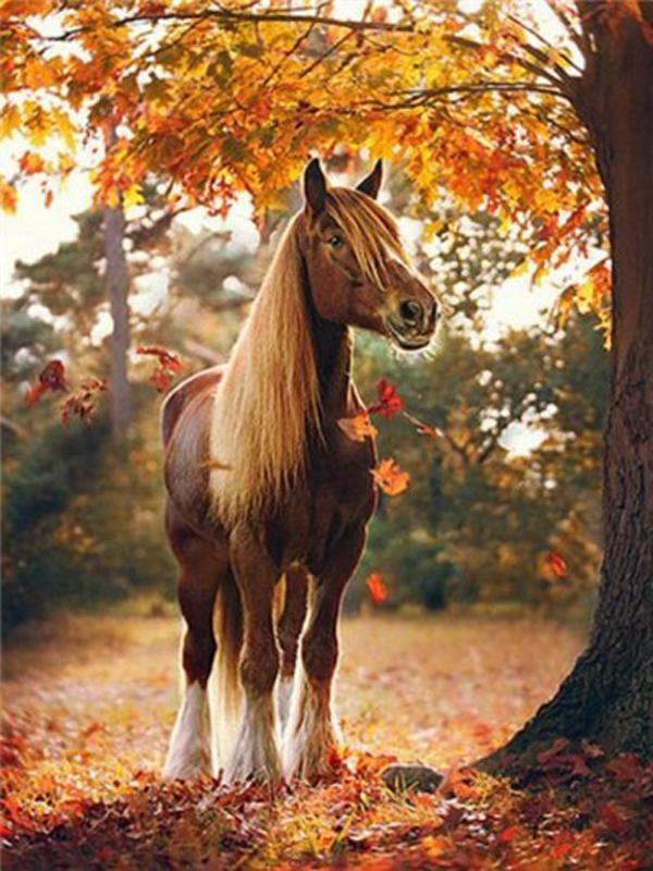 DIY Diamond Painting Animal Cross Stitch Full Round Drill  Steed Painting Embroidery Craft Home Decoration