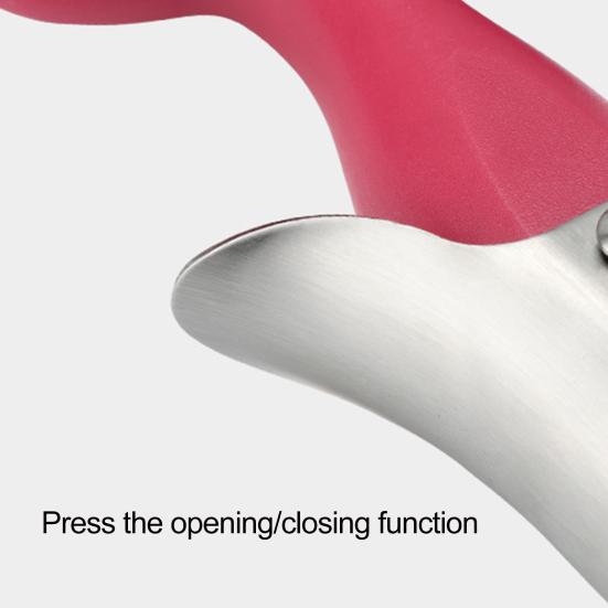 2 in 1 Apples Corer And Peeler, Stainless Steel Fruit Core Remover, Retractable Apples Slicer Tool for Pear, Kitchen Gadget