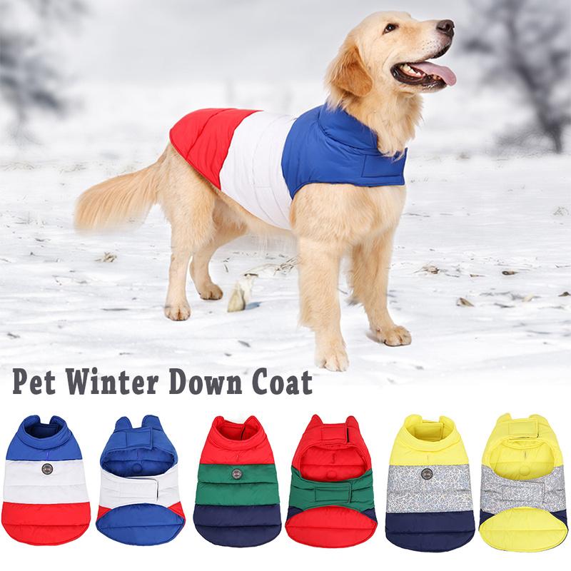 dog padded coat