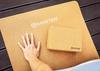 MASTER Cork Yoga Block