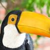 Resin Toucan Bird Figurine Bird Model Bird Figurine Toucan Tree Hugger Statue  Living Room
