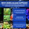 Aquarium Water Purifier Algae Removal Powder Powerful Aquarium Water Purification Powder Aqua Water Purifying for Fish Tank Water Turbidity Removal