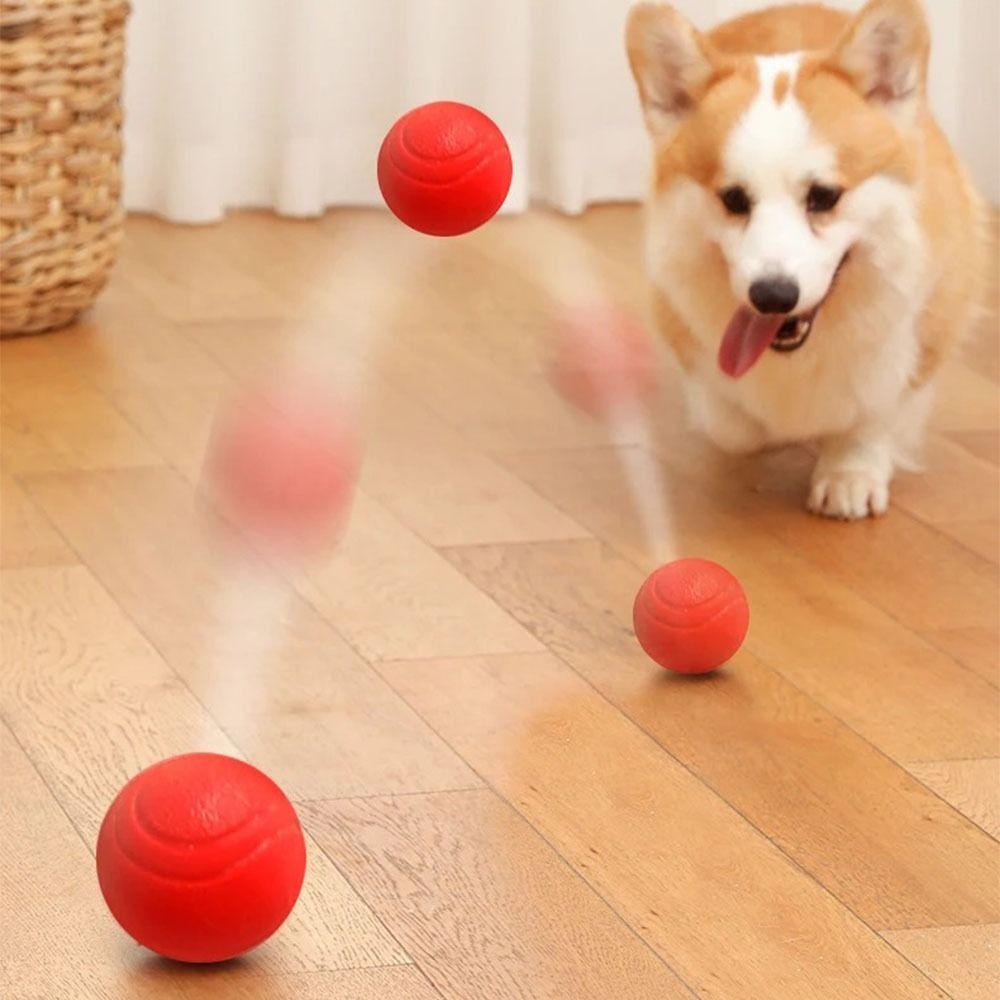 Bite Resistant Indestructible Bouncy Ball Dog Chew Toys Dog Training Interactive Ball Pet
