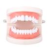 3/5Pcs Bling Hip Hop Teeth Grillz Funny Single Dental Braces Single Clips Grillz  Cosplay