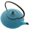 Cast Iron Kettle 1.25 L Infuser Strainer For Tea And Herbs