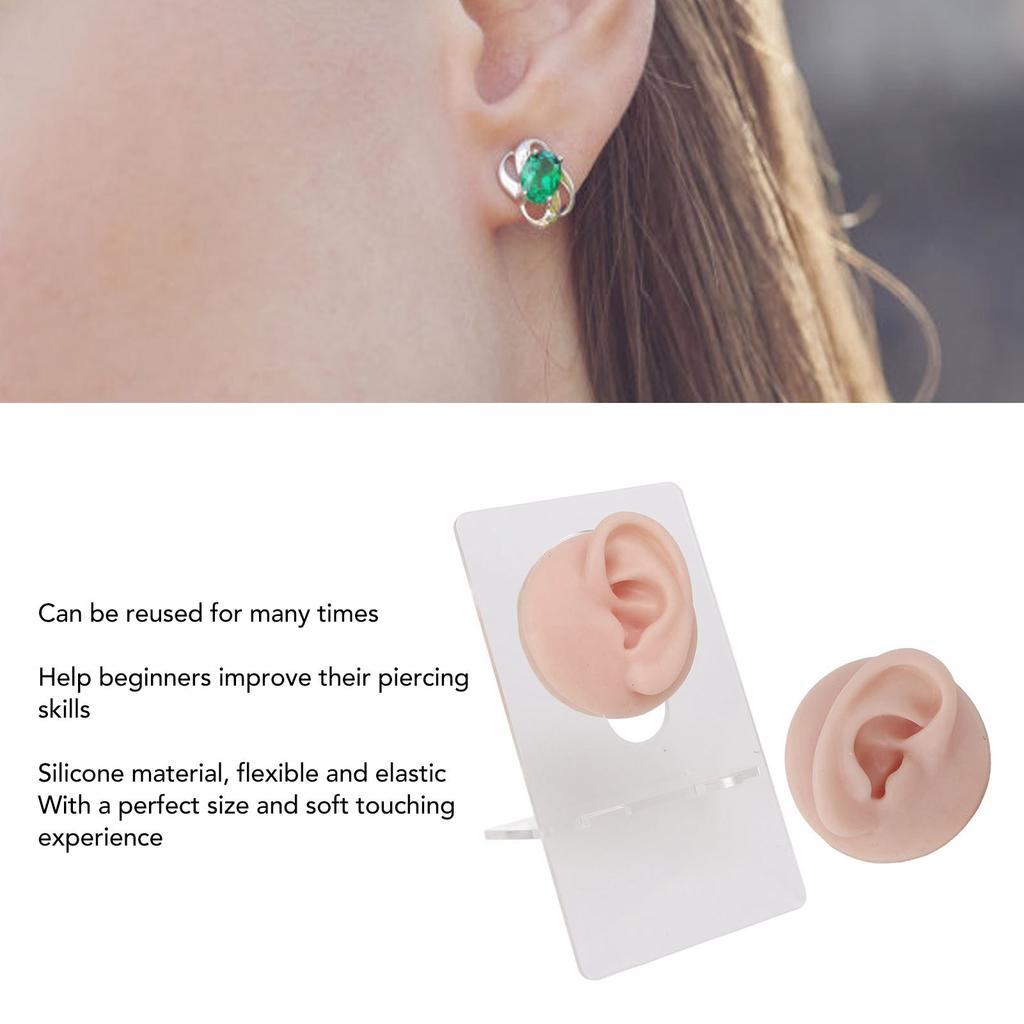 Ear Model Soft Silicone High Simulation Clear Structure Human Ear Model for Piercing Practice