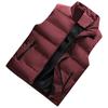 Moda de los hombres Otoño e Invierno Casual Cuello Alto Color Sólido Cremallera Chaleco Chaqueta Top