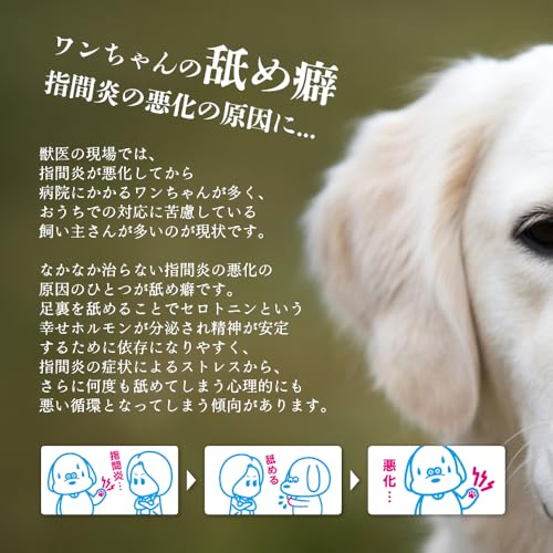 PAWKAMPO (Veterinarian-Supervised Dermatologist) Paw Care Foam / Bitter Taste Prevents Licking / Prevents Interdactylitis / Removes Dirt and Moisturiz