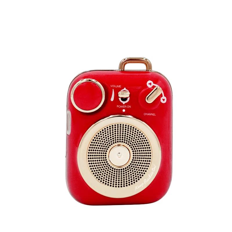 Mao Wang Audio MW-P3 Portable Bluetooth Speaker