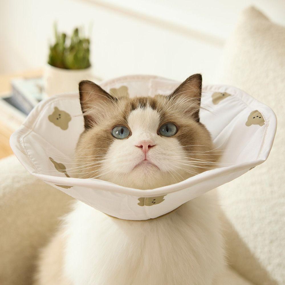 Soft Pet Elizabeth Circle Cartoon Cat Dog Grooming Cover Pet Protective Cover  Sterilization Care