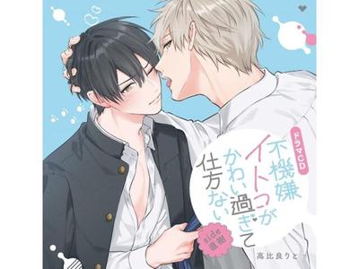 CD de drama Fukigen Itoko ga Kawaiisugite Shikatanai lado Naoki Ltd/ed. CHAG-1011