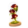 Gift for Christmas Valentine's Day Birthday
