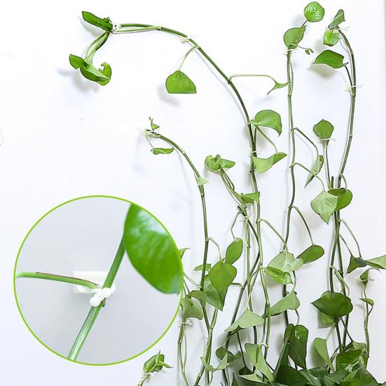 100 stk selvklebende hjemmeveggplante klatrefikserholder klips vinklemmekrok