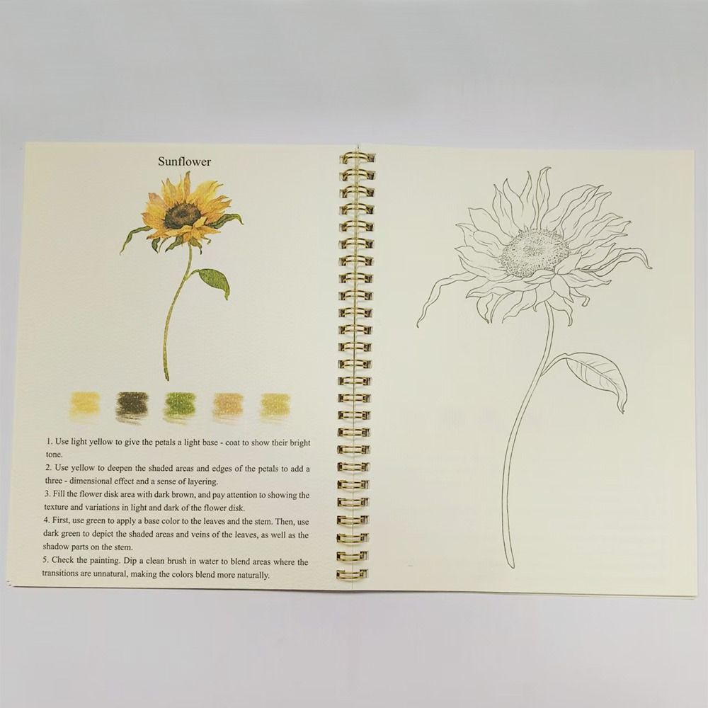 Beginner-Friendly Watercolor Workbook DIY Art Learning Guide Watercolor Workbooks Coloring Book Art Painting Supplies