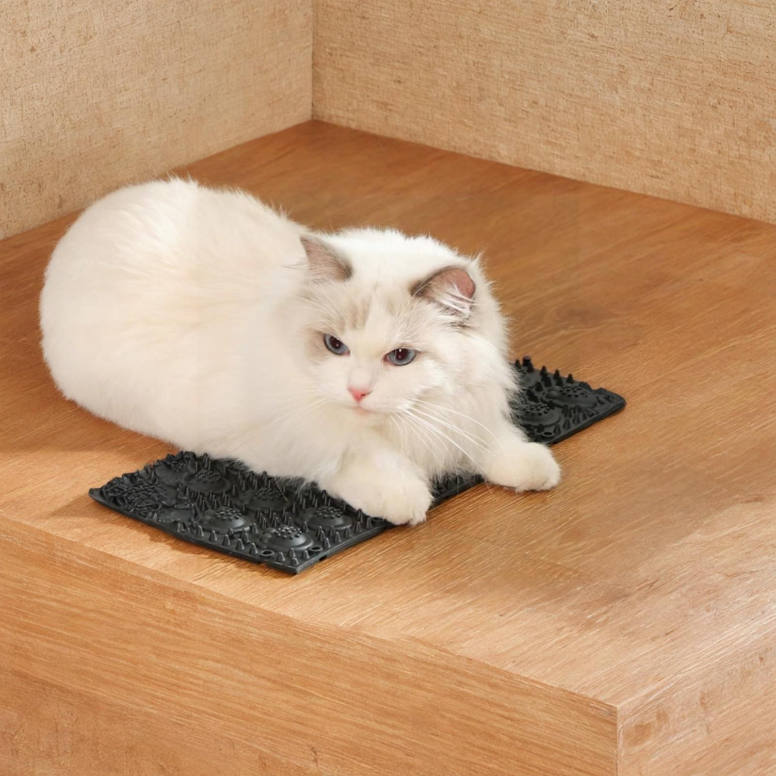 

Самоуходная массажная щетка для пола, когтеточка для кошек one size чёрный