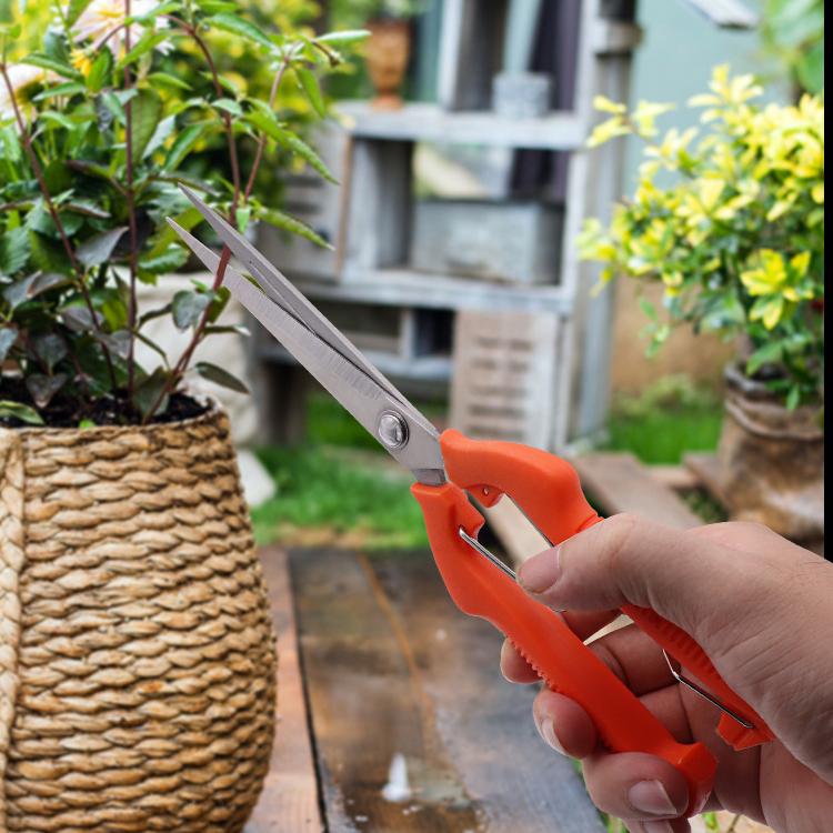 Fruit Picking Scissors Stainless Steel Gardening Tool Scissors Fruit Picking Fruit Plant Pruning Shears Garden Tools