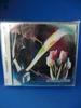 CD ROUNDSCAPE  Modern CREATION VICL61332 Victor 2004 Japan ObiJapanese PopRock Used