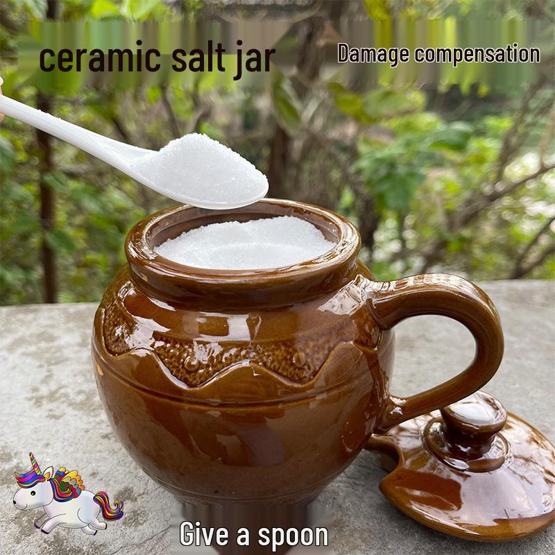 Keramik Salzbehälter mit Deckel & Löffel, Feuchtigkeitsdichte Gewürzaufbewahrung, Küchen-Gewürzhalter mit großem Fassungsvermögen