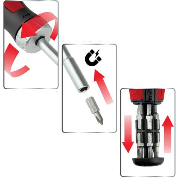 ΠΟΛΥΚΑΤΣΑΒΙΔΟ + ΜΥΤΕΣ - DED06A050