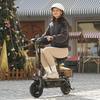 iScooter F2 Adult Electric Scooter with Basket, 10 Inch Inflatable Wide Tire, 500W 36V 7.8AH, Dual Drum Brakes