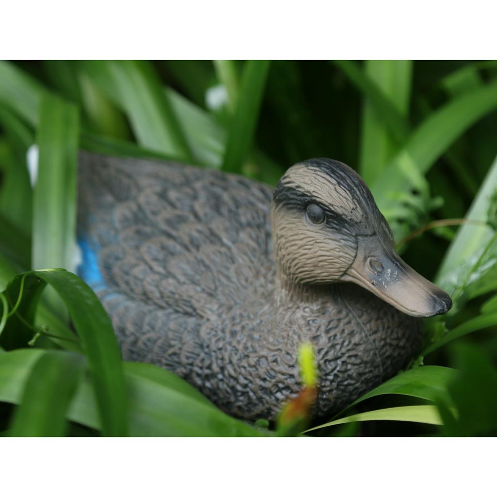 Lifelike Mandarin Duck Decoy Durable Fake Bird Scarecrow 3D Duck Decoration for Garden Yard Pool Lawn Outdoor Decor