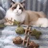 Wooden Teeth Grinding Stick For Cat Fish Bone Wood Pet Cats Like Smells Tianliao Teething Stick Have Fun Playing