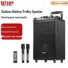 KaYouLa LG-60 Portable Outdoor Karaoke Bluetooth Trolley Speaker