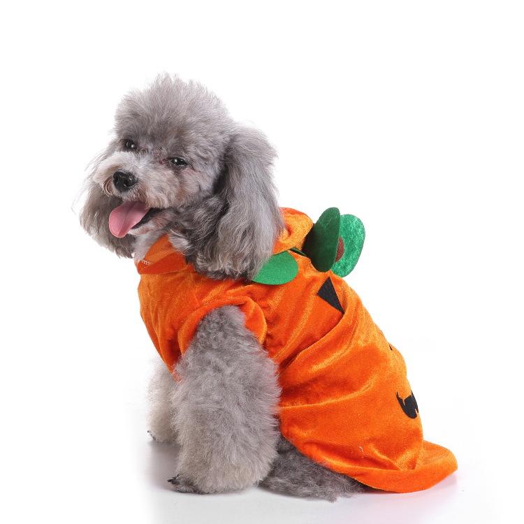Halloween Pet Clothes Holiday Funny Dress Up Props Dog Transformation Bat Costume Riding Cat Costume Pet Products