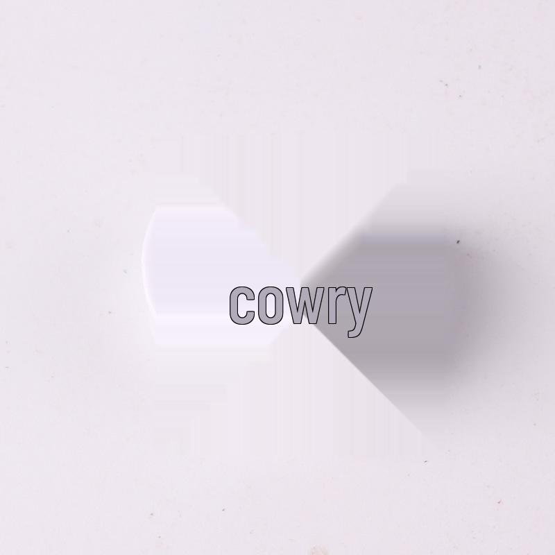 Second-Gen Car Air Vent Perfume Clip - Durable Plastic Accessory