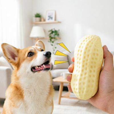 Giocattolo per Cani con Suono Sicuro Non Tossico Vinile Giocattolo da Masticare Resistente al Morso Interattivo Sollievo dalla Noia Giocattolo per la Pulizia dei Denti