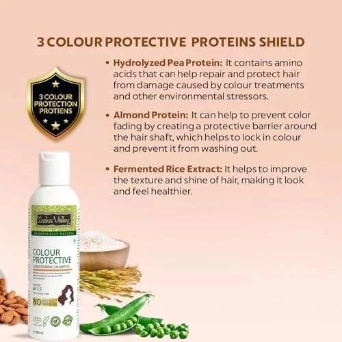 Indus Valley Bio Color Protect Shampoo 200ml x 2 Natürliche Pflege Sulfatfrei