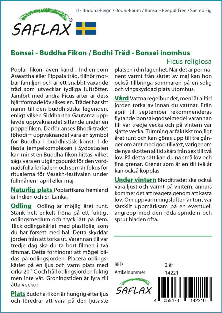 SAFLAX Bonsai - Peepul Tree / Sacred Fig - 100 Seeds - Ficus Religiosa