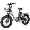 Bicicleta Elétrica Philodo T1 Pneu 20" Motor 750W Bicicleta Elétrica Urbana para Deslocamento 48V 20Ah Freios a Disco Hidráulicos 7 Velocidades Carga Máxima 150Kg