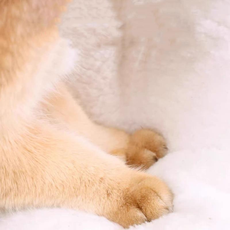 Noodle-Shaped Fleece-Lined Pet Bed Warm Breathable Detachable Round Cat Nest Flip Cover Four Seasons Universal Dog Kennel