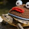 Frogs Styles Pet Turtles Clothing Elastics Fabric Machine Washable Knitted Frogs Costume For Reptiles Lover