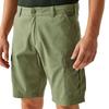 Regatta Mens Ruwan Casual Shorts