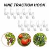 20PCS Galvanized Steel Wire Tomato Roller Hooks PP Rope Easy To Use Tomato Support Hooks Adjustable 15m /49.2ft Length