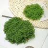 Polyester Artificial Moss Plants DIY Craft Realistic Texture Faux Preserved Moss No Watering No Fading Preserved Reindeer Moss