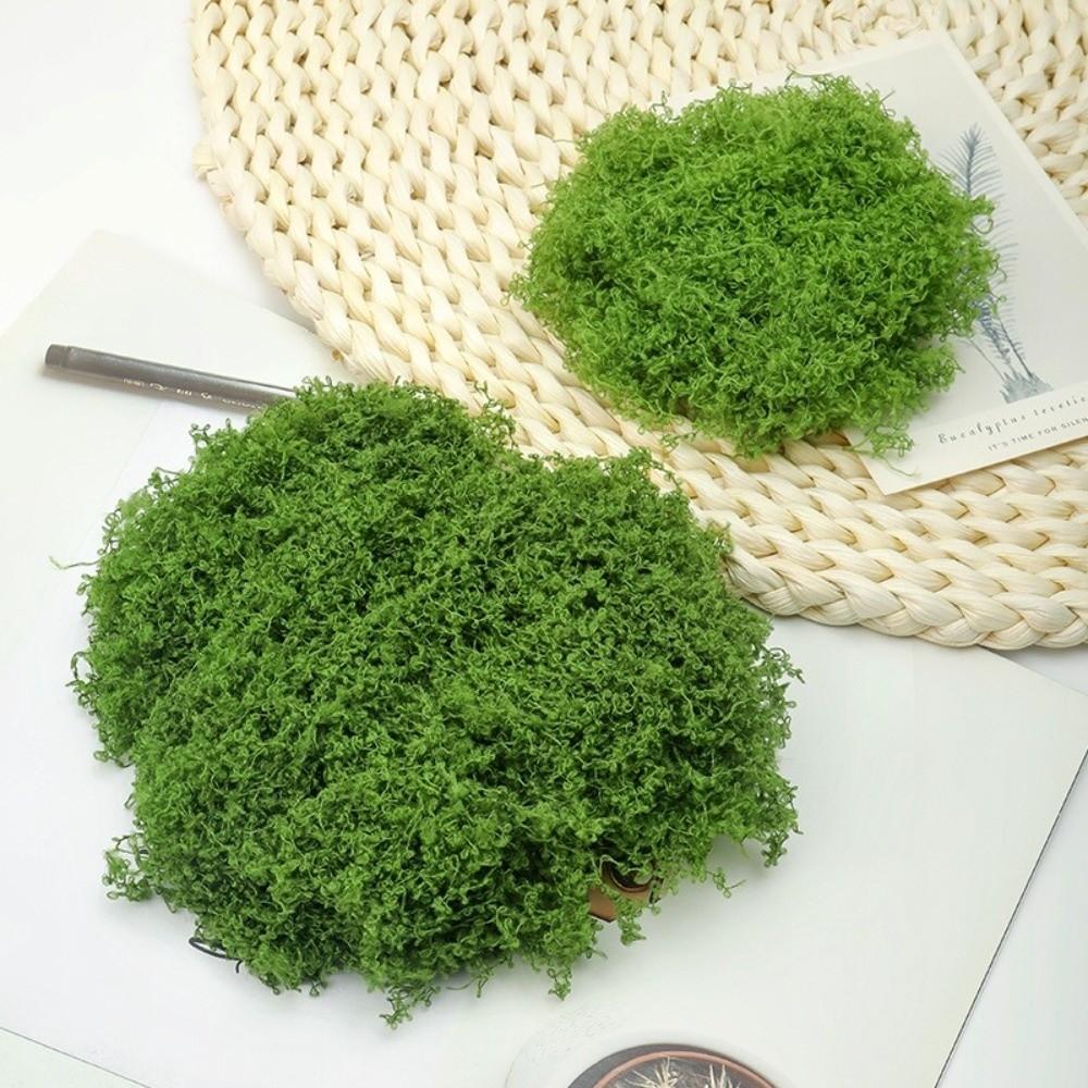 Polyester Artificial Moss Plants DIY Craft Realistic Texture Faux Preserved Moss No Watering No Fading Preserved Reindeer Moss