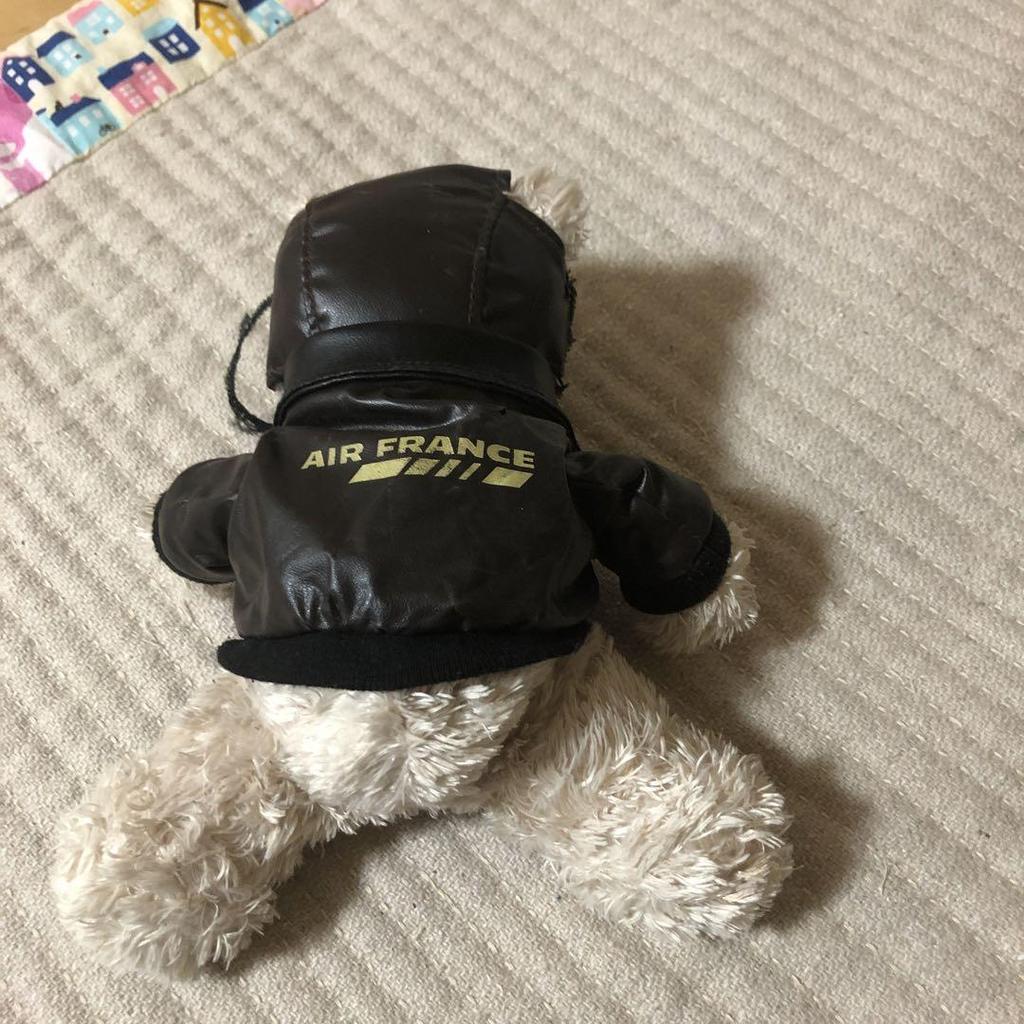 [USED] Air France Teddy Bear