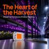 120 Degree Beam Angle Plant Grow Light Full Spectrum Hydroponic Plant Grow Light  Hydroponic