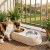 Non-Skid Base Pet Double Bowls Plastic Pet Water Feeder Cat Food Water Bowls  For Cats Dogs
