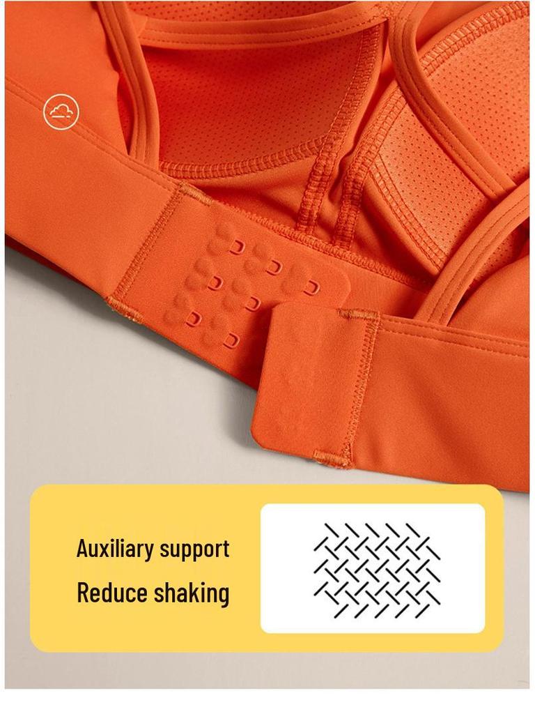 High-Impact Sports Bra with Shockproof Design and Supportive Back Padding
