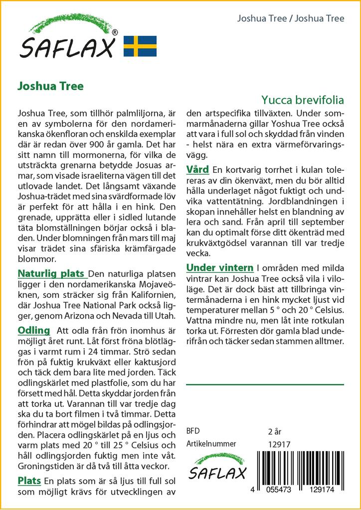 SAFLAX Joshua Tree - 10 Seeds - Yucca Brevifolia