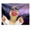 Funny Lipstick And Nail Polish Duck Print Tapestry Funny Animal Expression Wall Room Decoration Wallpaper Tapestry Beauty