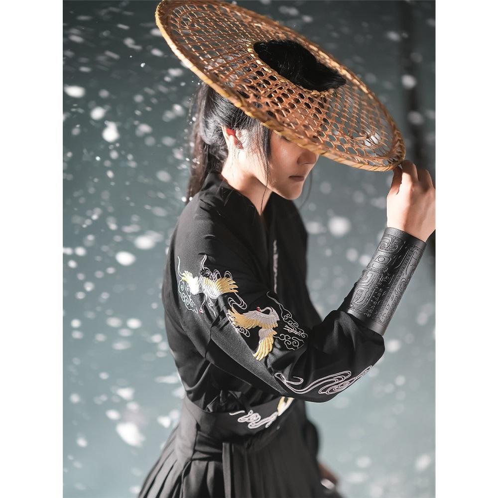 Chinese Song Dynasty Style Hanfu For Men, Martial Arts, Waist-length Embroidery, Daily Suit